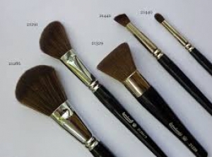 Make Up & Facial Brushes