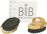 Body Ionic Dry Skin Massage Brush